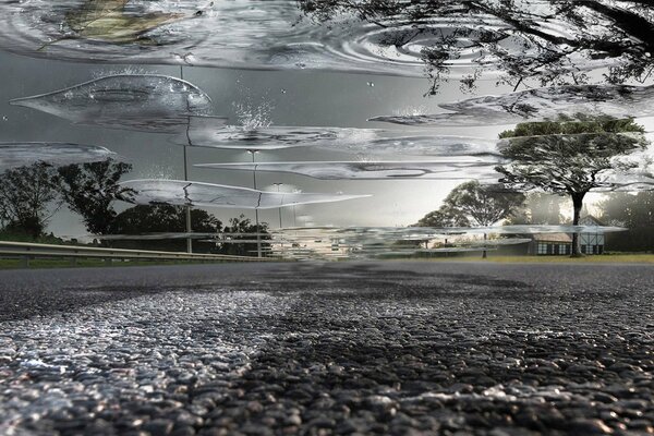 Un intera Pozza d acqua sulla strada