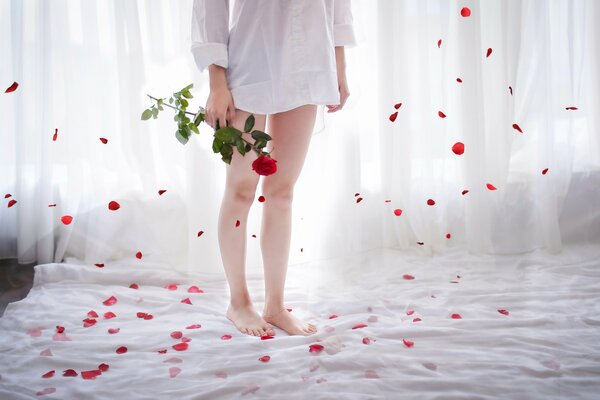 The girl is standing on the bed with a rose