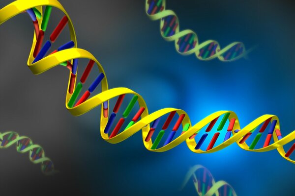 Struttura cellulare del DNA. Immagine dell acido desossiribonucleico