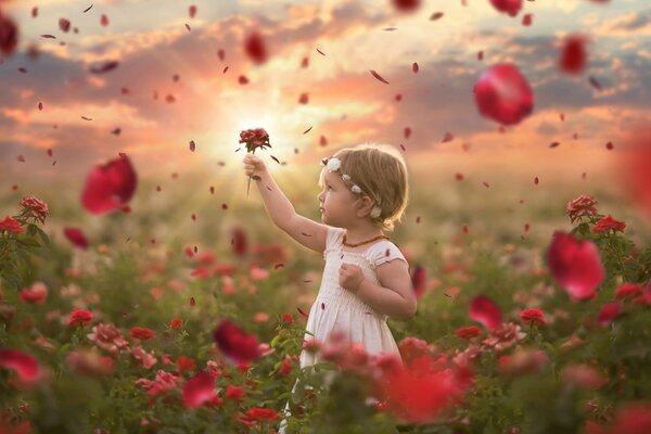 Bambina in mezzo alle rose rosse