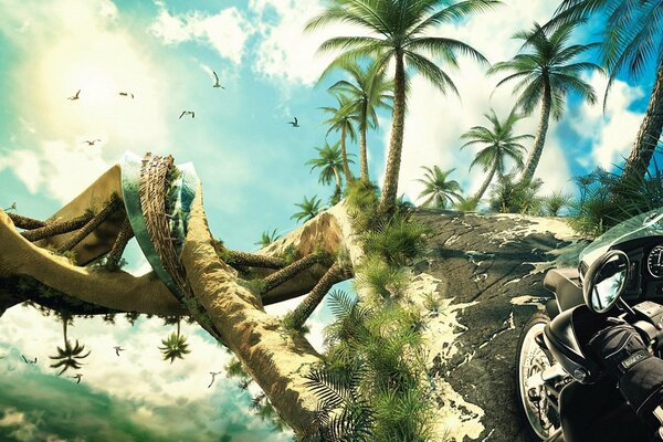 The motorcycle rides in a spiral of palm trees