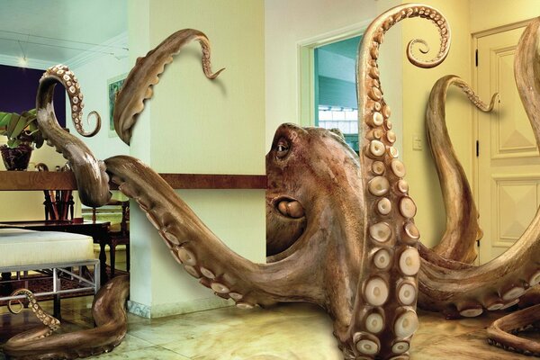 A huge octopus on the tile in the apartment