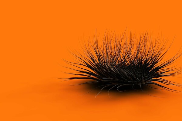 A dried-up black bush on an orange background