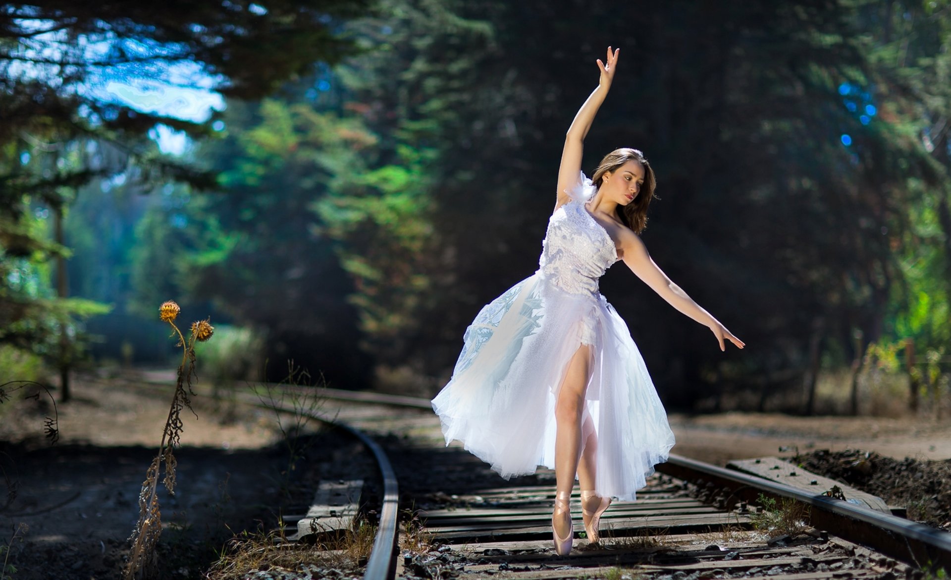 le chemin de fer la fille ballerine danse