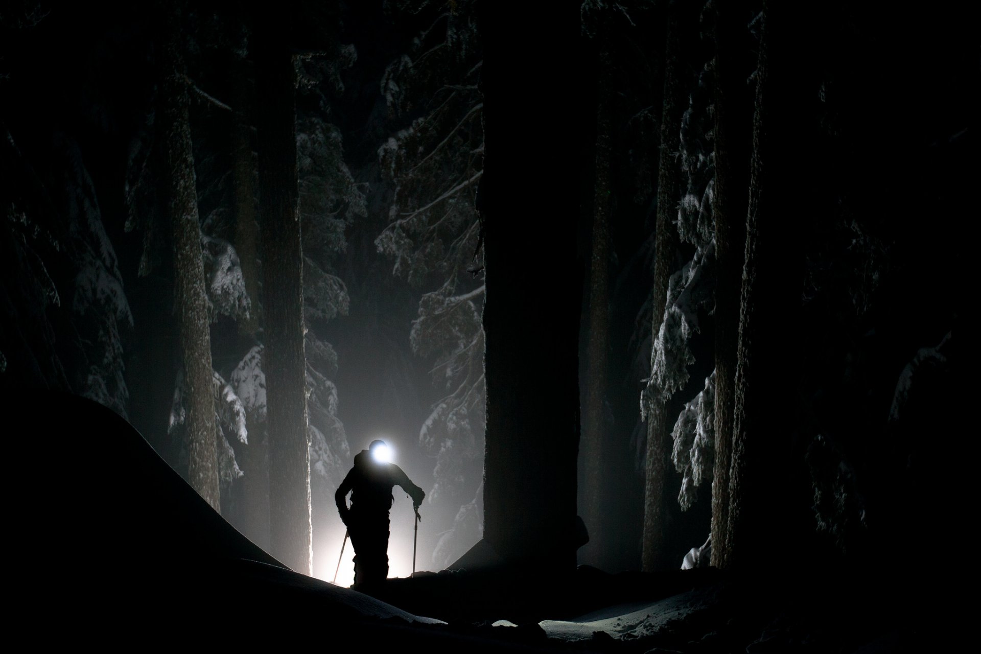 homme forêt obscurité mystique projecteur lumière hiver