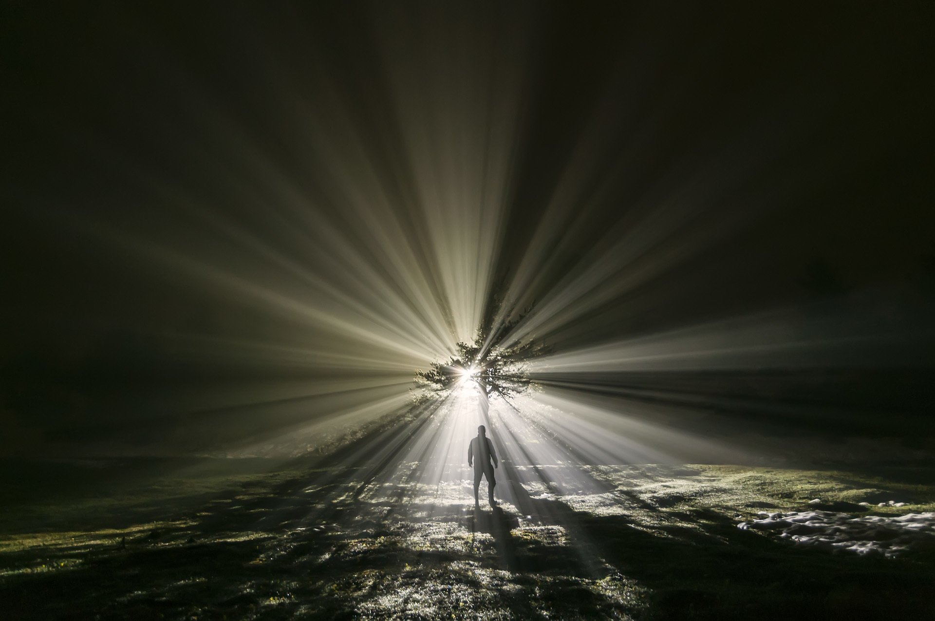 hombre campo árbol noche mística luz rayos