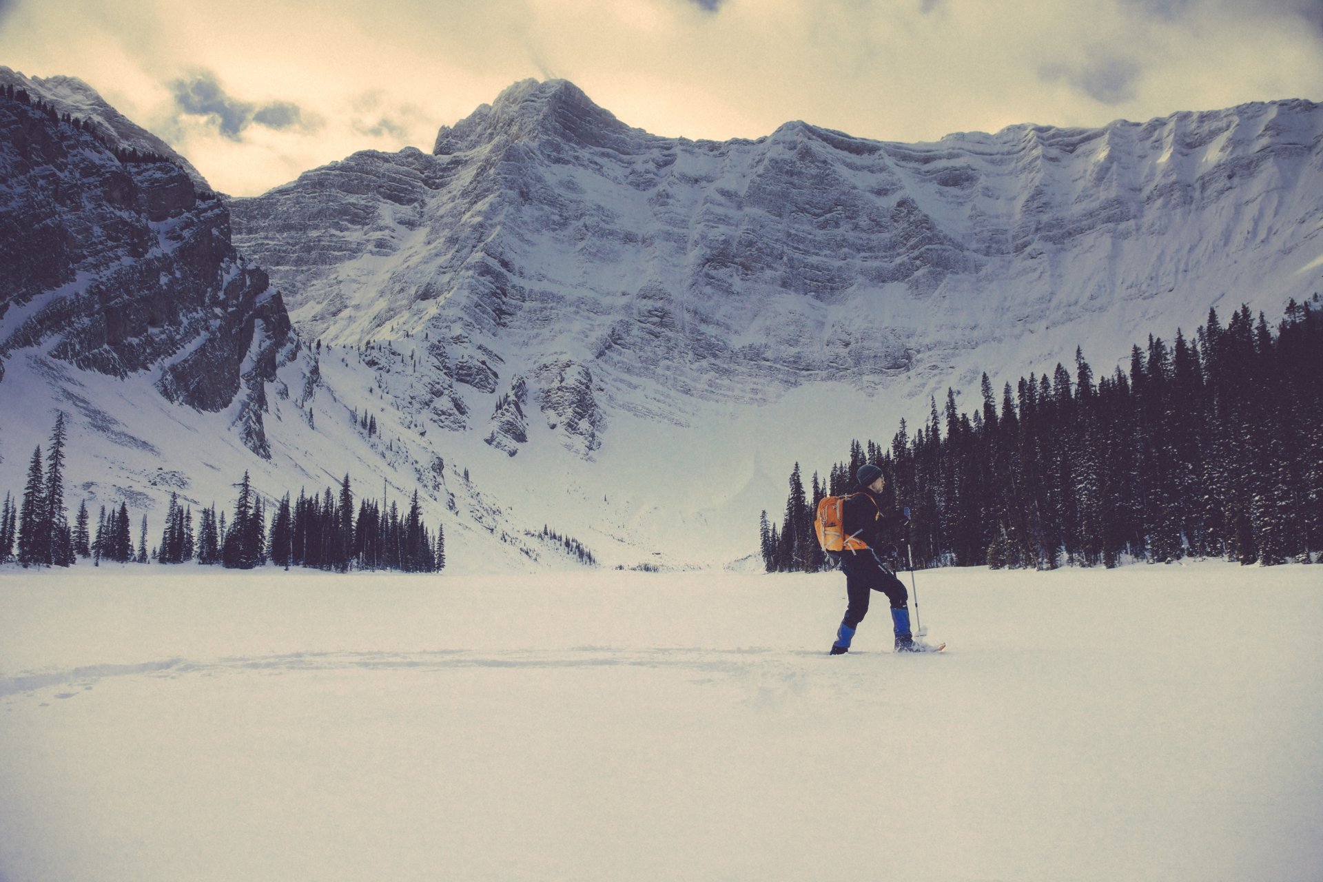 montagne neige hiver arbres un homme un homme un sac à dos chapeau