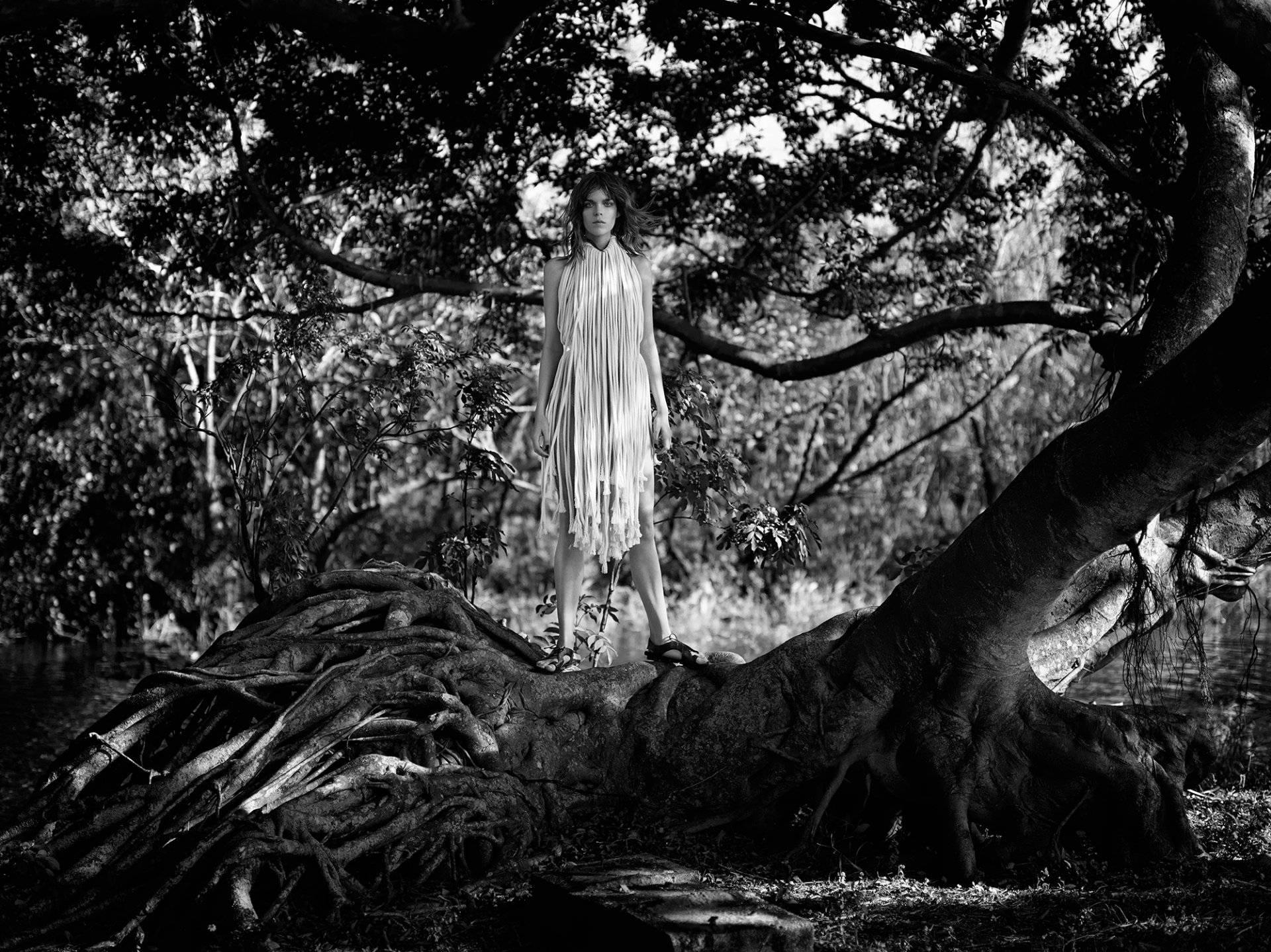 megan collison wald wurzeln bäume fotoshooting pause