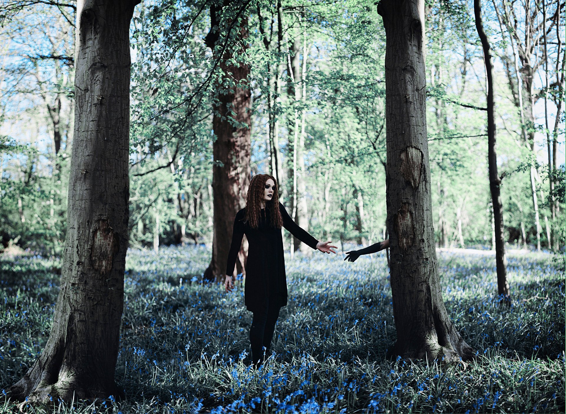 dunkelheit amy spanos mädchen wald baum hand