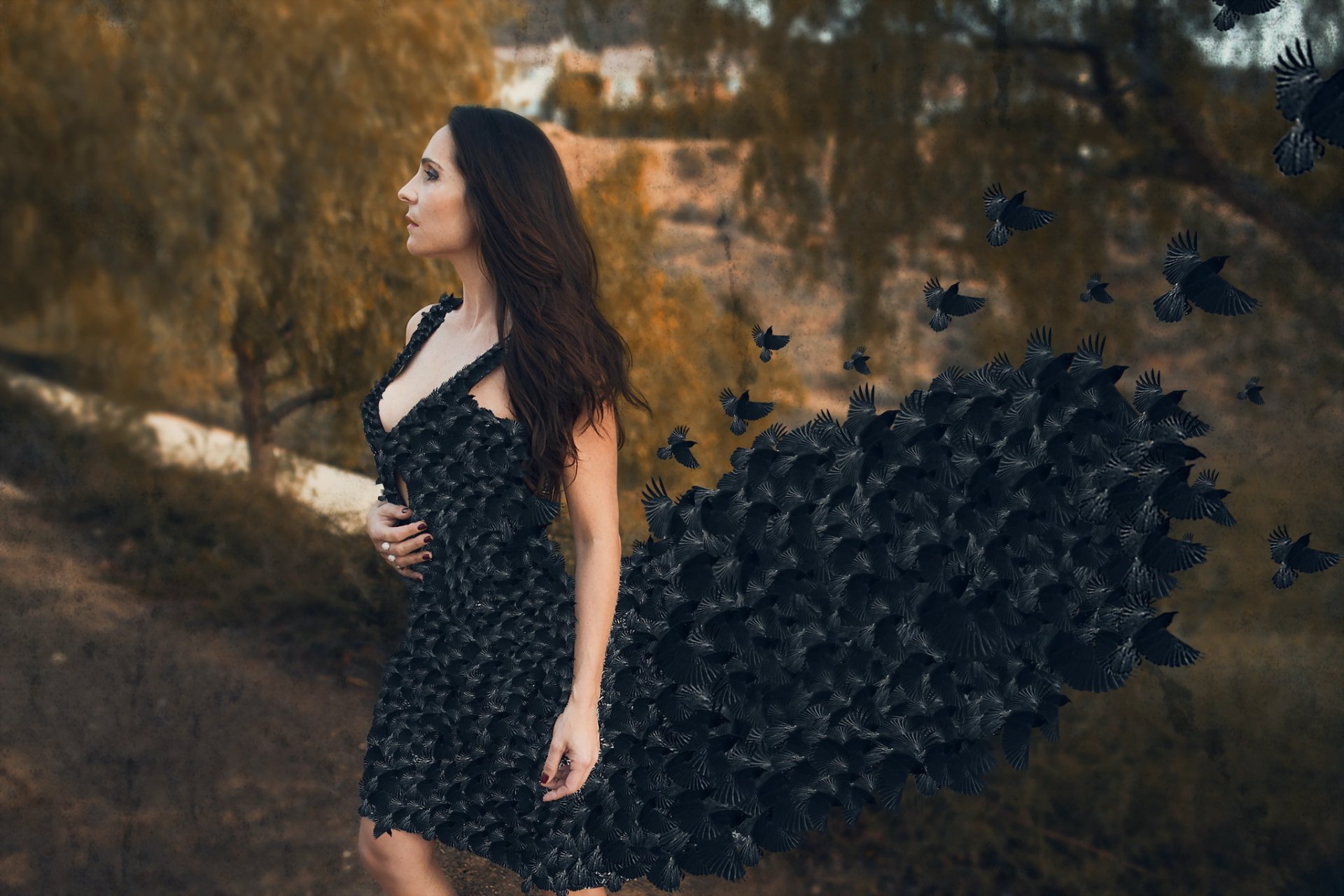 la jeune fille la robe les oiseaux