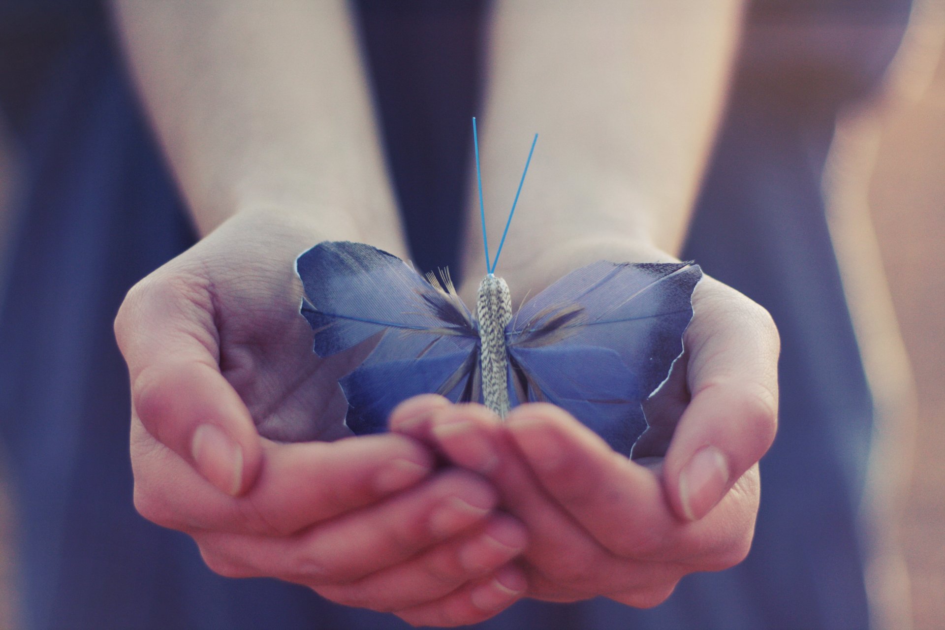 butterfly wings hand