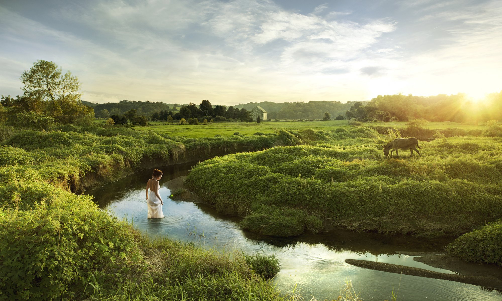 mädchen natur esel esel tier wasser gras