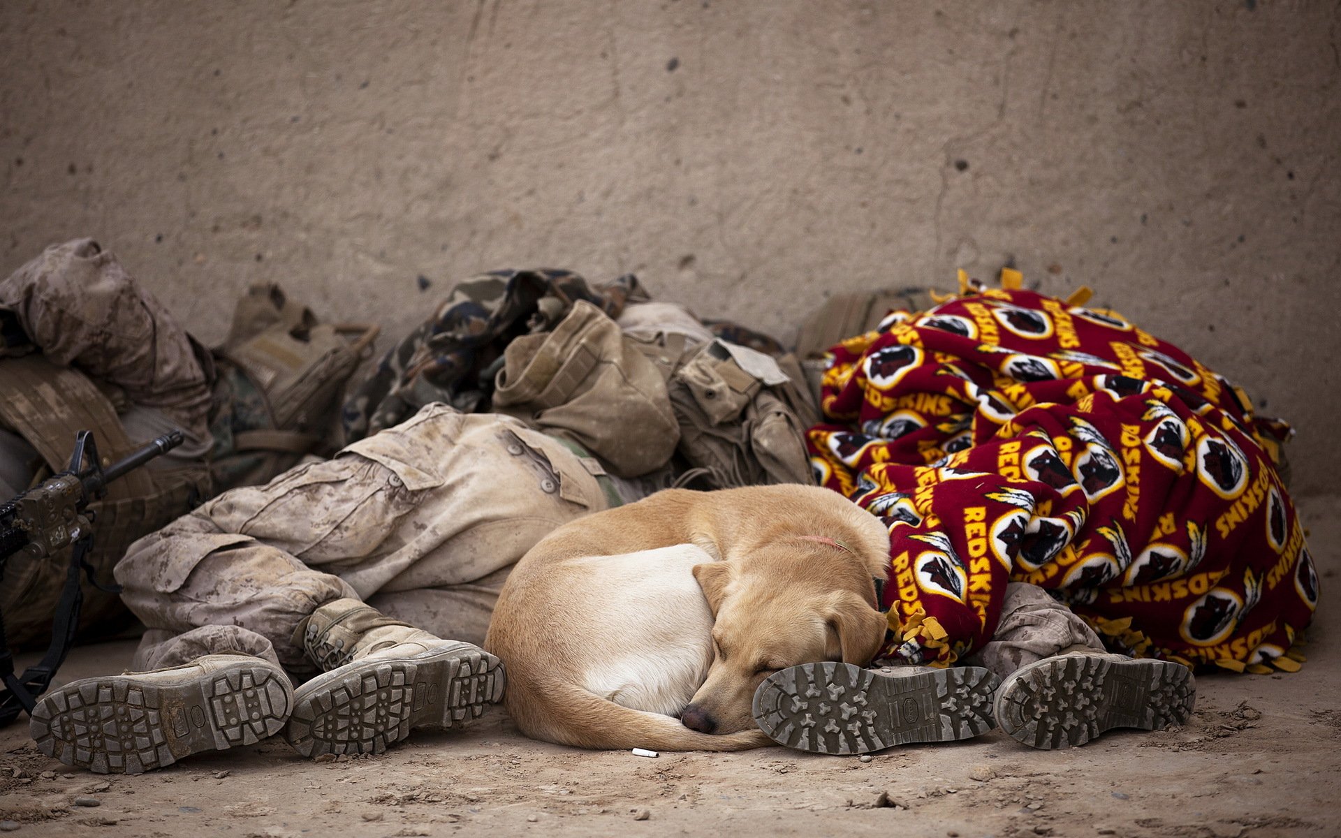 soldats un chien un ami