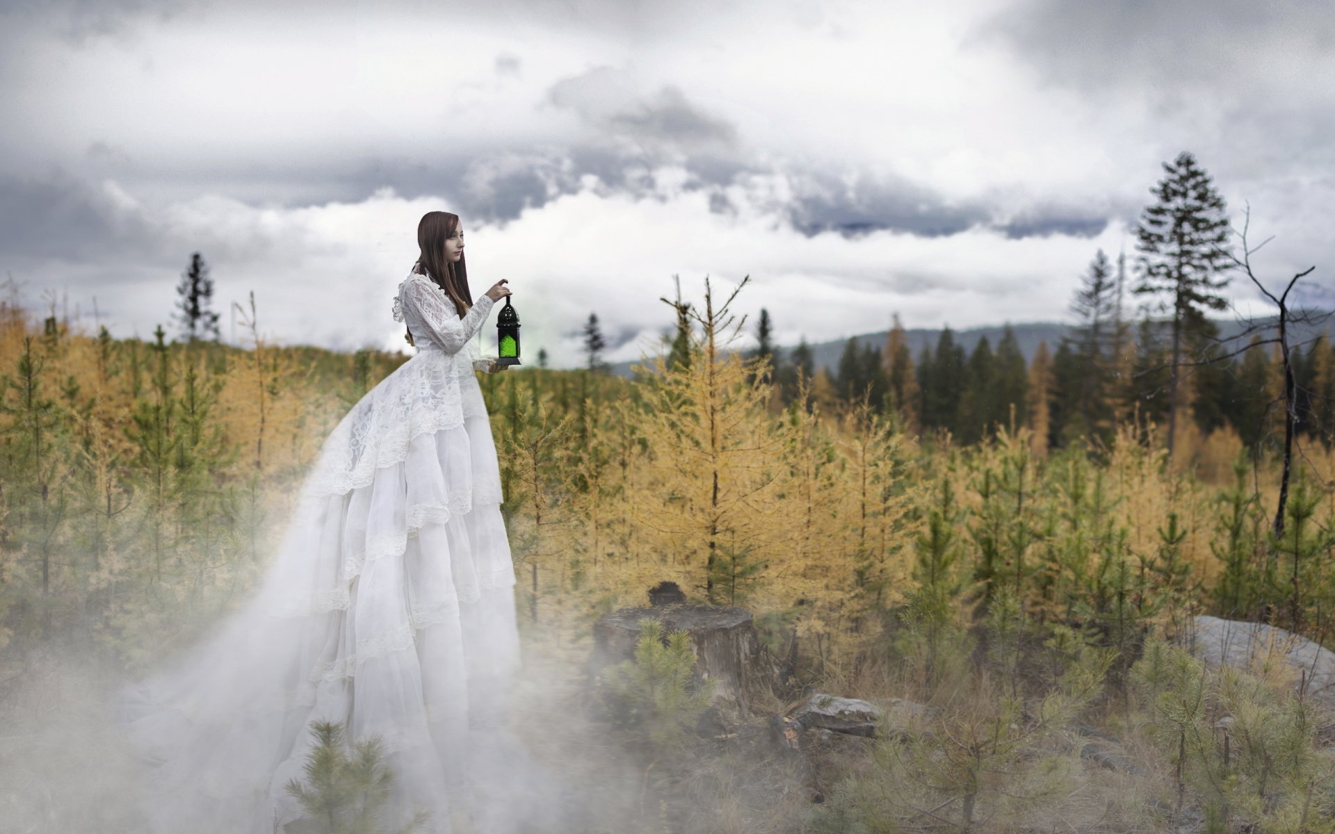 la jeune fille la forêt la lampe