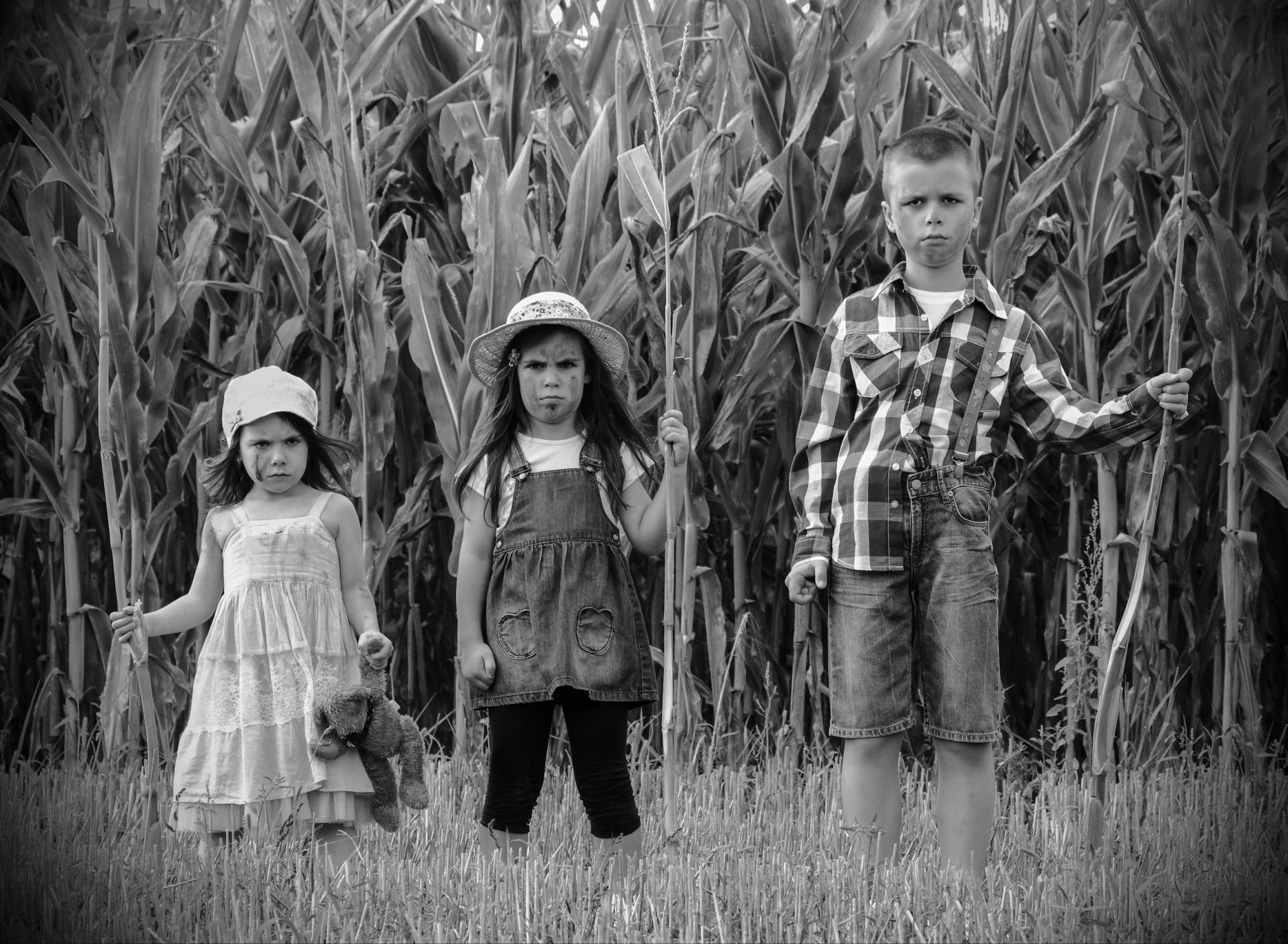 bambini di mais bw foto basato sul film