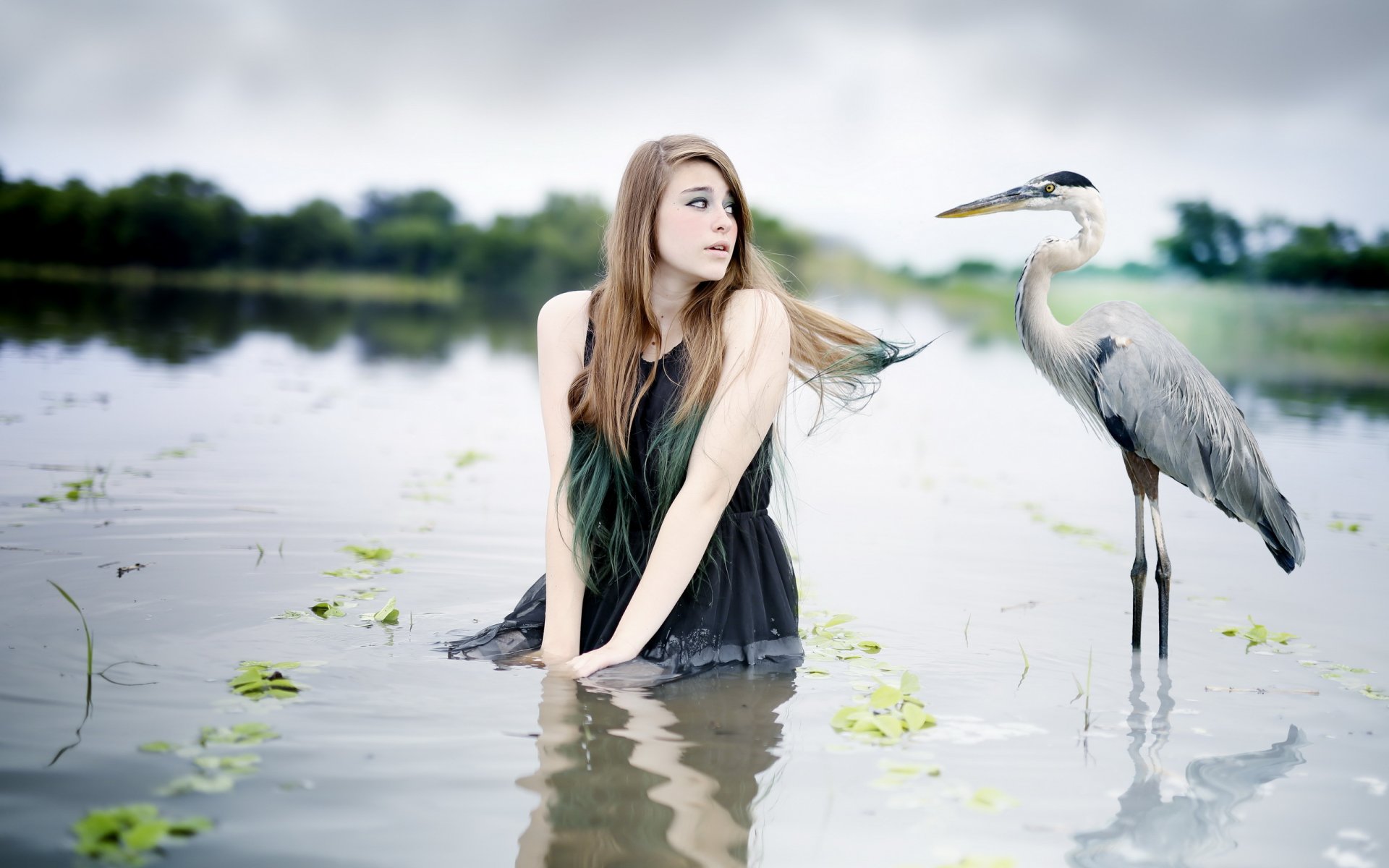 ragazza uccello acqua