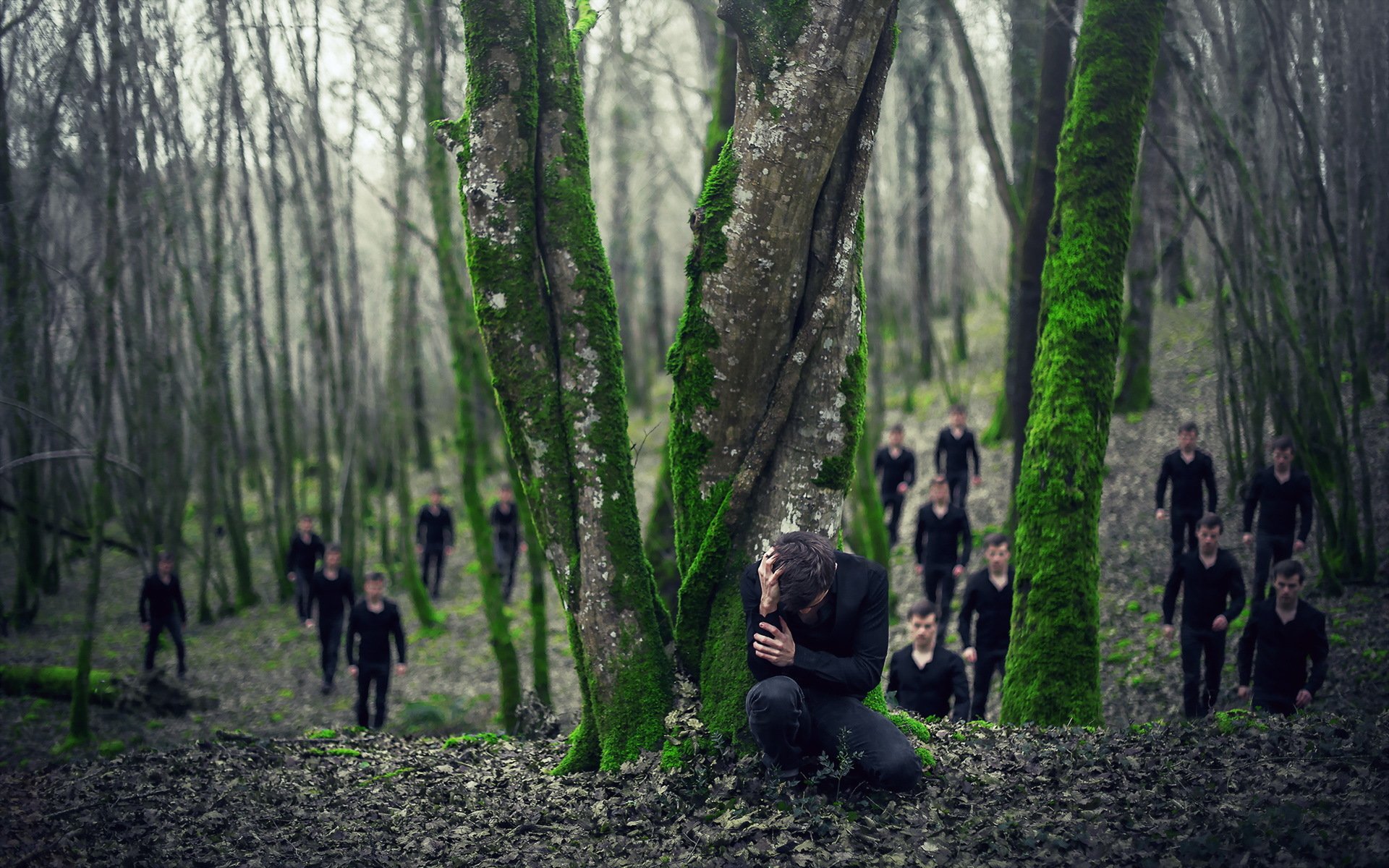 le gars la forêt la peur