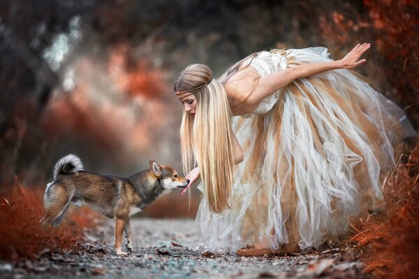 Belle fille dans la forêt caresse le chien