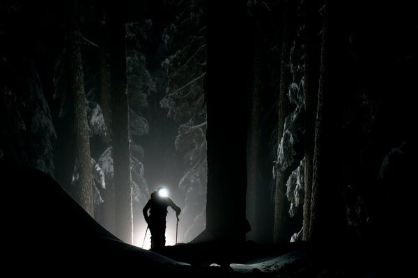 Images de l homme dans la forêt sombre