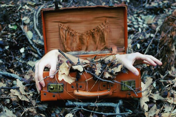 Handles with leaves sticking out of the suitcase