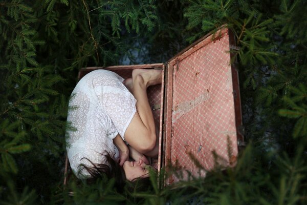 Photo shoots of a girl in a suitcase on the grass