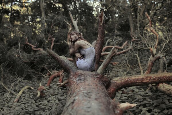 Desordenado facial chica sentada en un árbol en el bosque