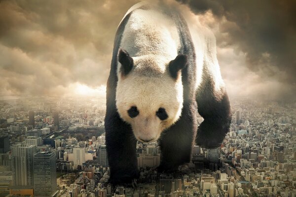 Picture of a huge panda walking through the city