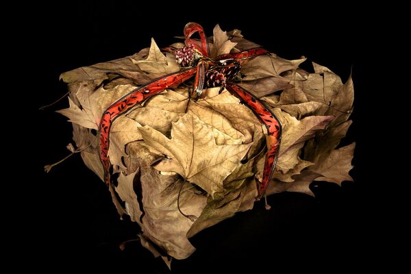 A gift box made of leaves as a gift