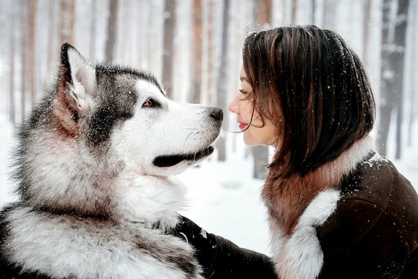 Dziewczyna i pies ze śniegiem patrzy na siebie