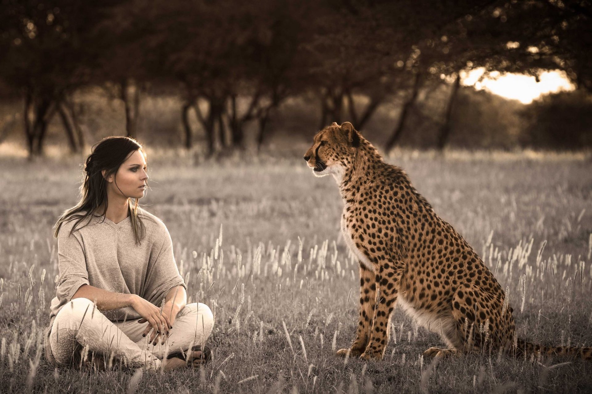 феннингер la jeune fille le guépard le regard