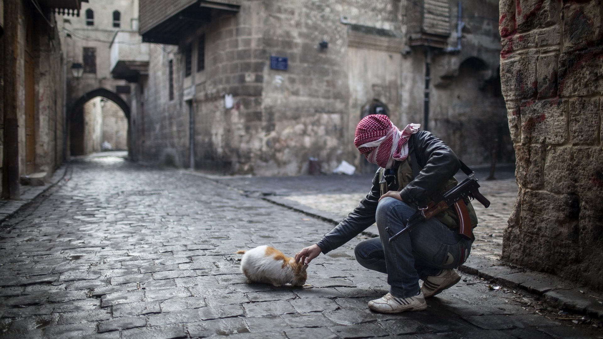 ragazzo armi gatto cibo strada casa