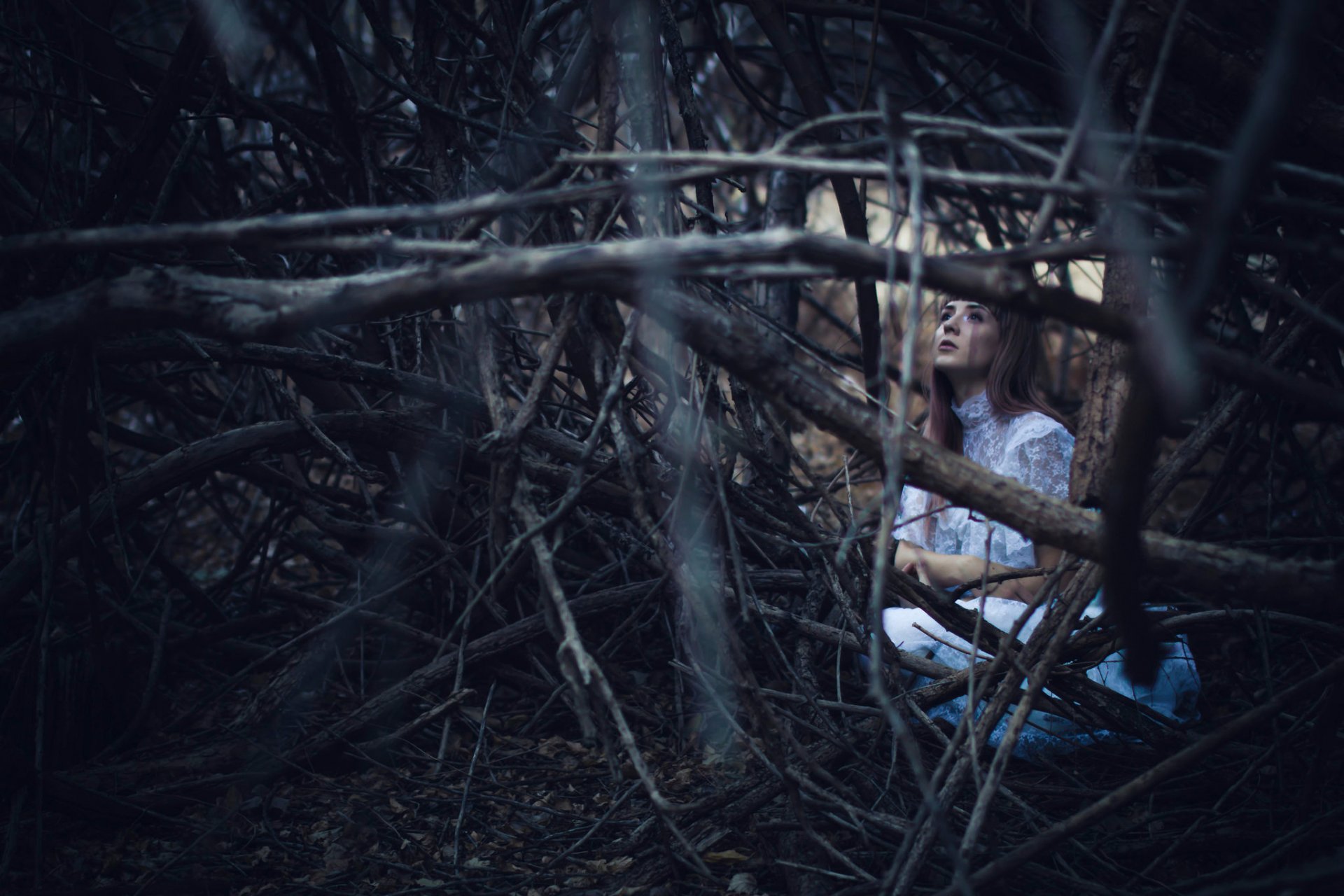 la forêt la jeune fille de la branche