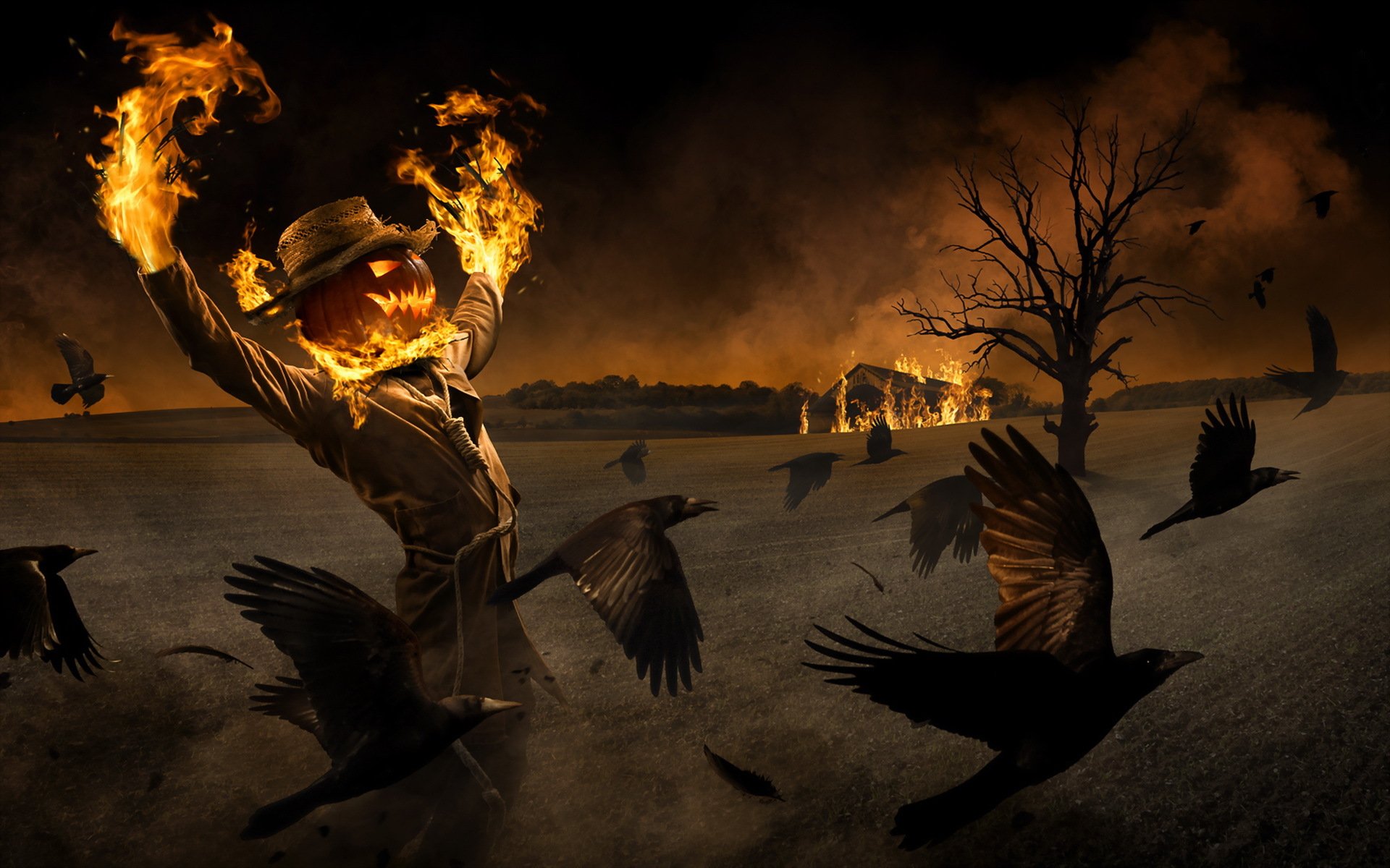 halloween pumpkis care crow ravens fire