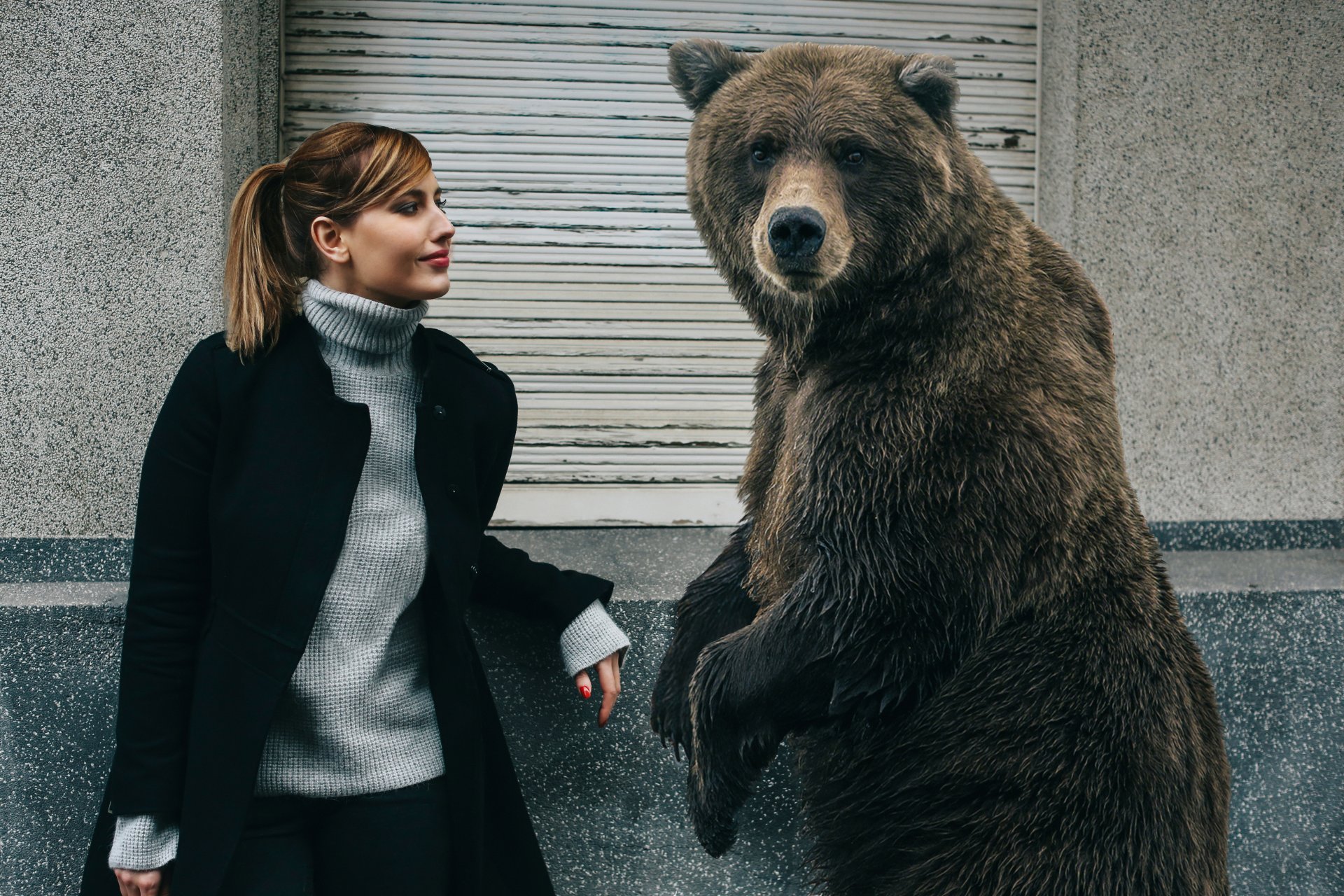 orso ragazza amici conoscenti