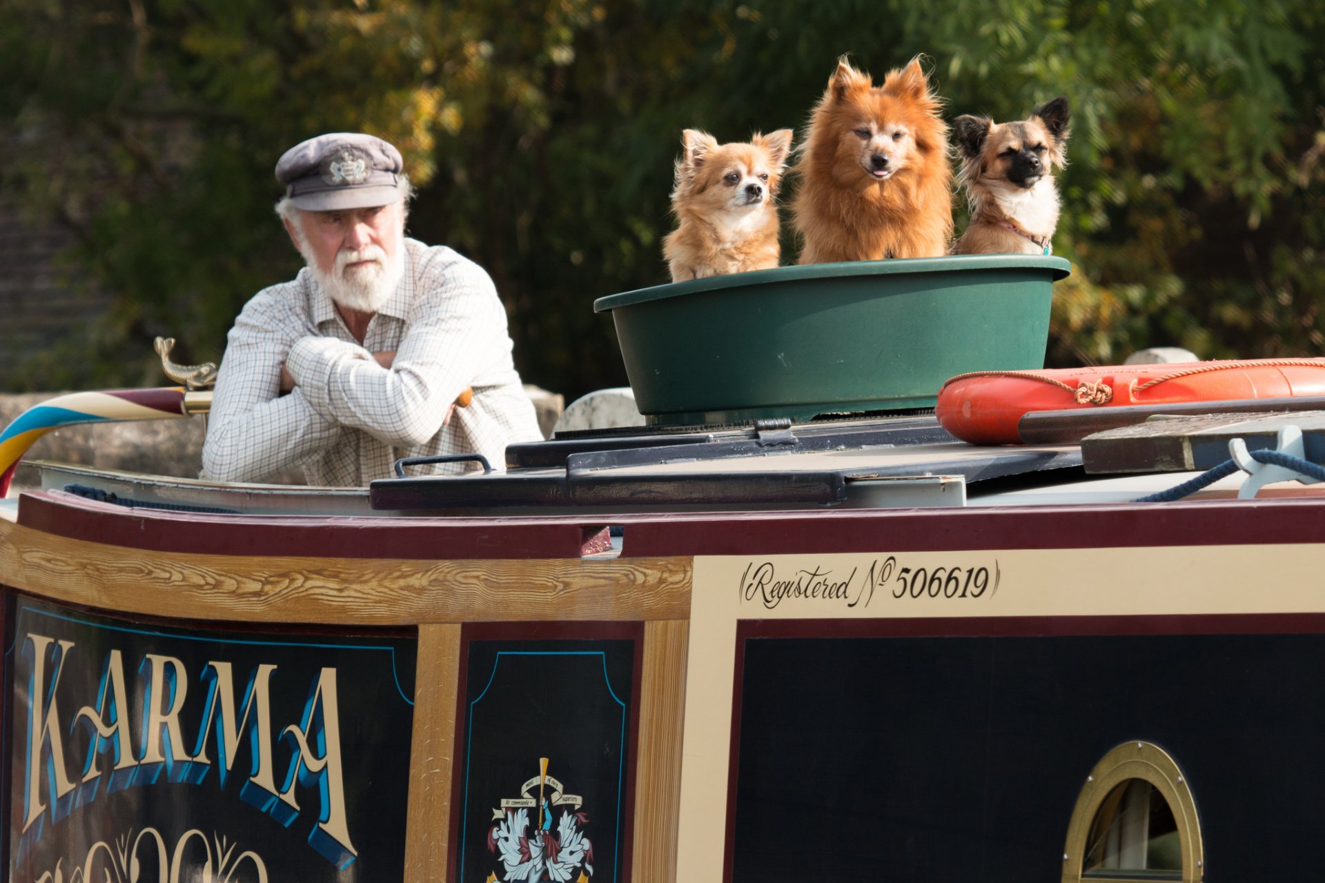 trois pris dans un bassin le chien le vieil homme