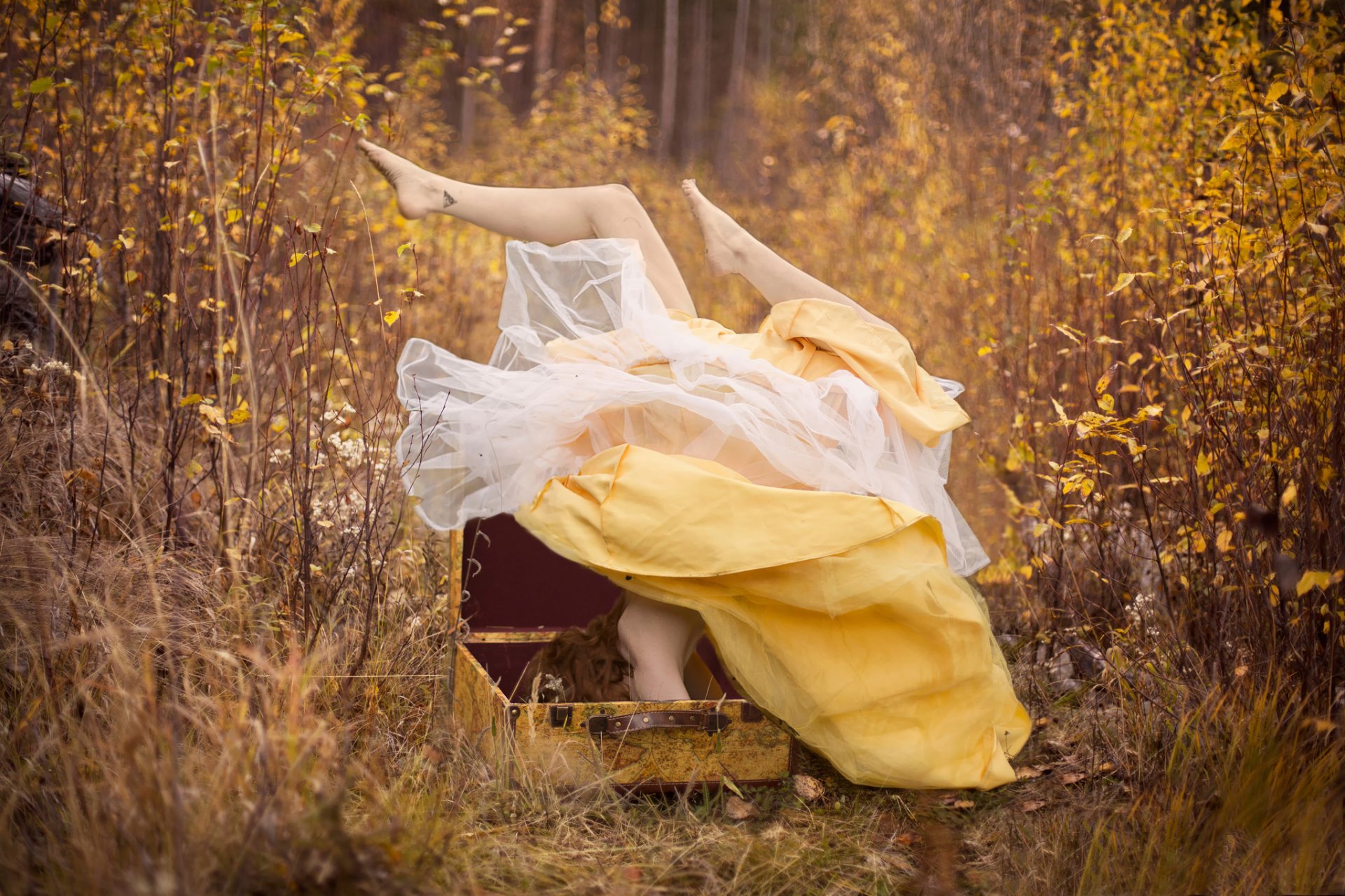 la valise la jeune fille la robe les pieds en haut forêt automne