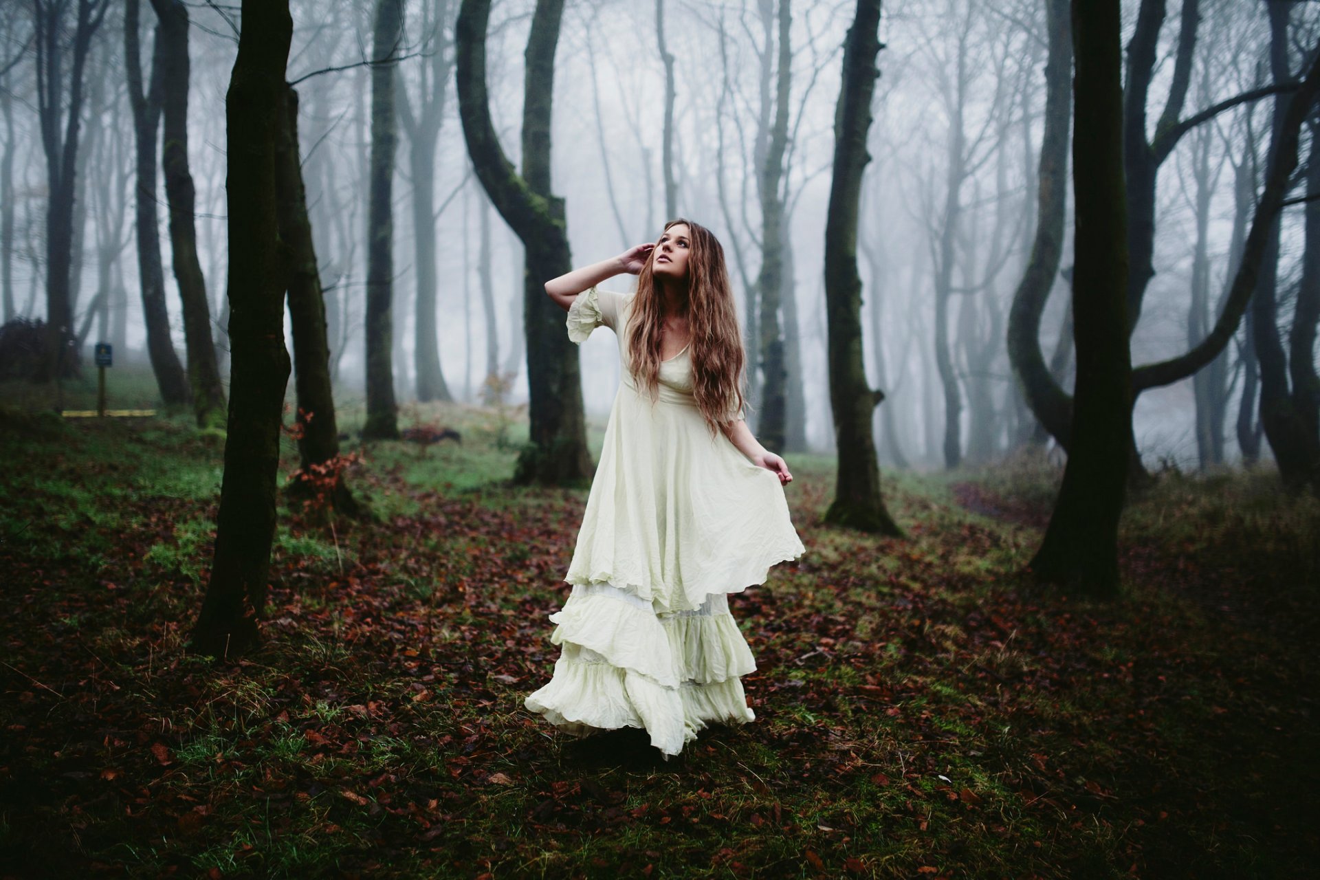 la forêt la jeune fille la robe le matin le brouillard