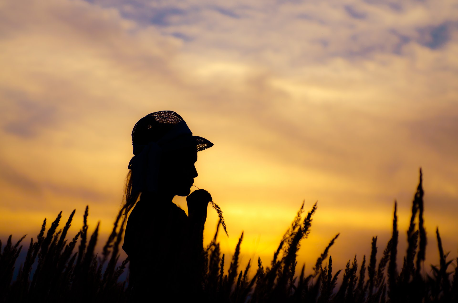 night sunset the field sky girl hat