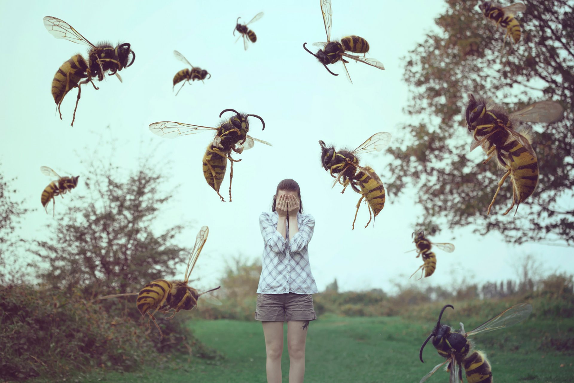 insekten mädchen schlafen wespen