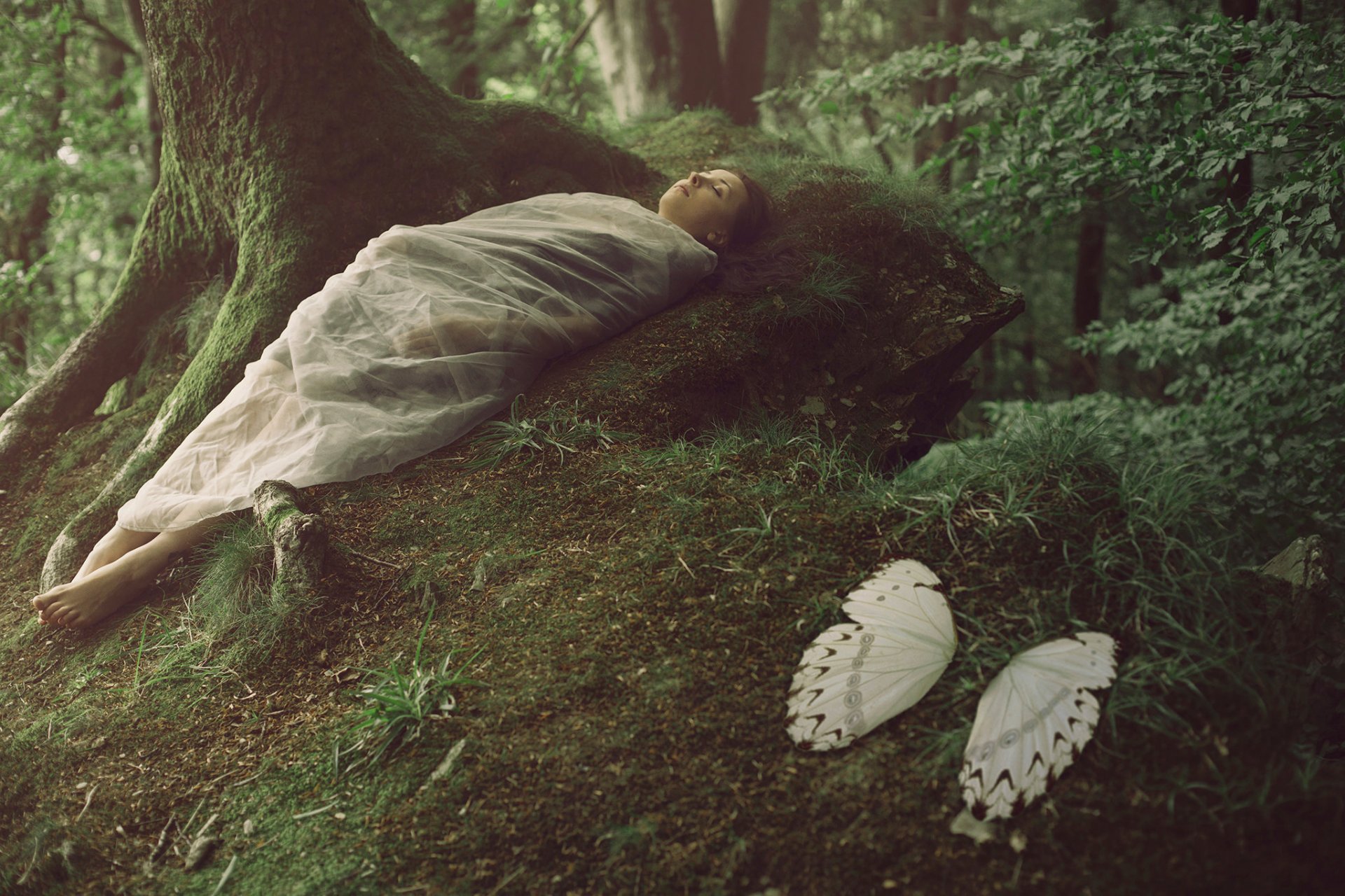 forest girl cocoon wings fantasy