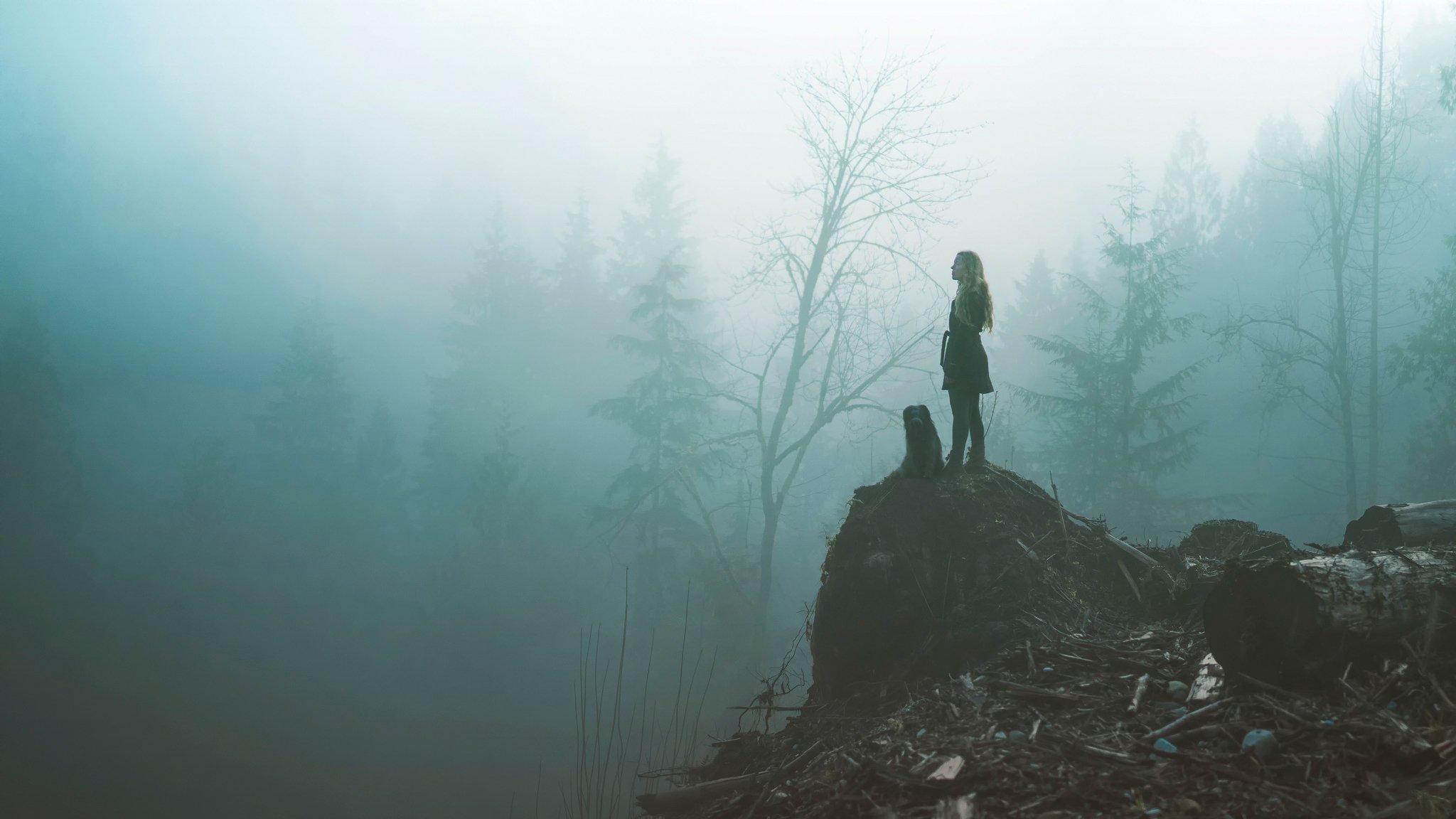 nebel wald hund mädchen