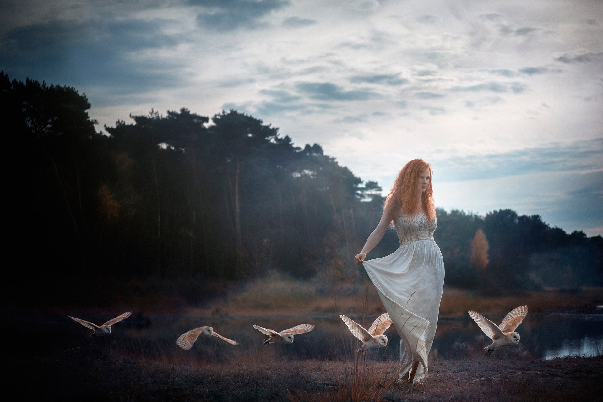 je rêve je peux la distribution les ailes les boucles fille rousse oiseau hibou de la nature