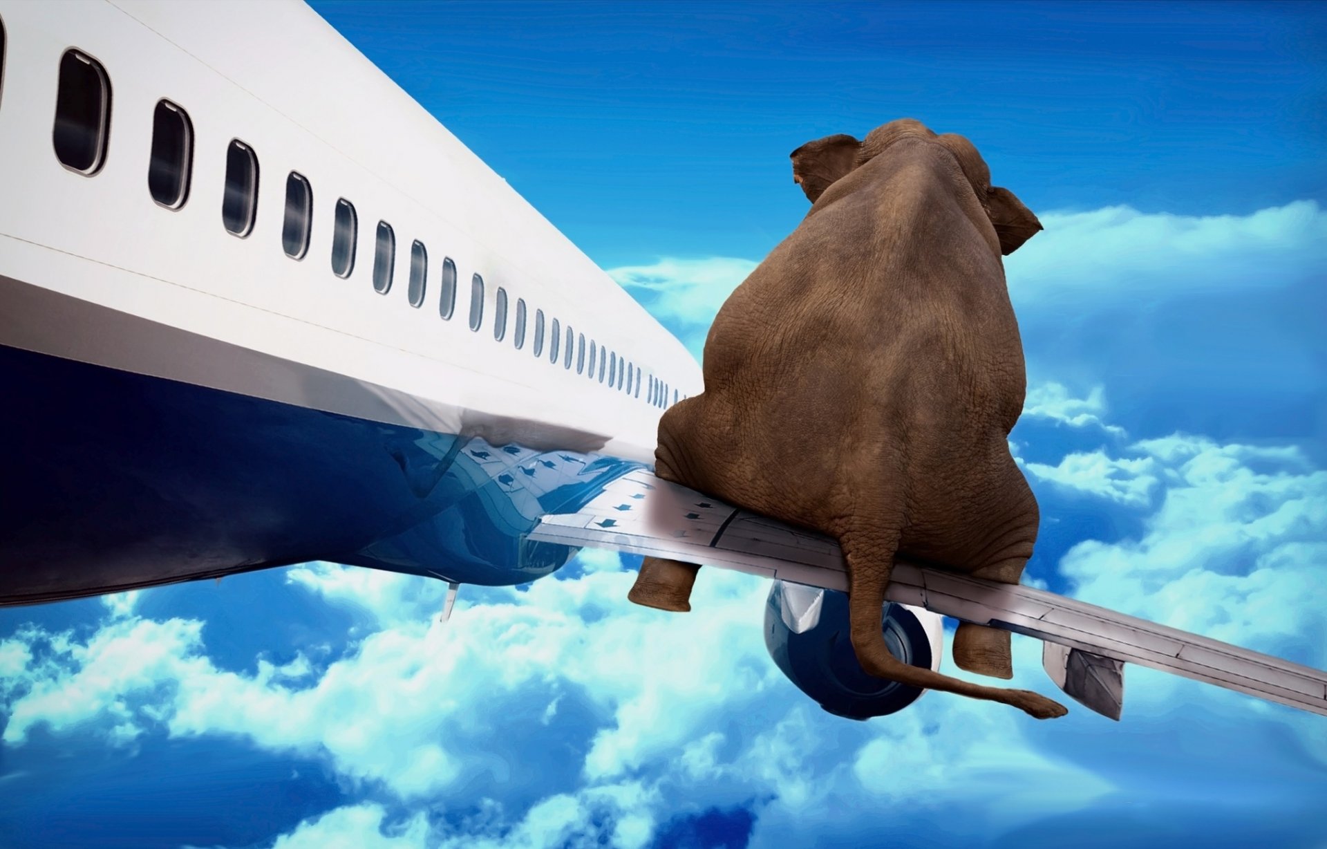 elefante avión ala vuelo cielo arte