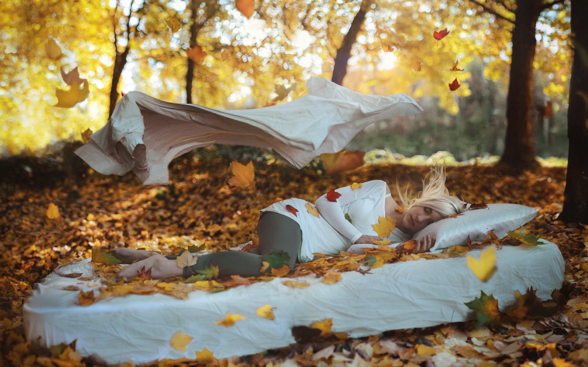 autumn leaf leaves autumn shed float fly