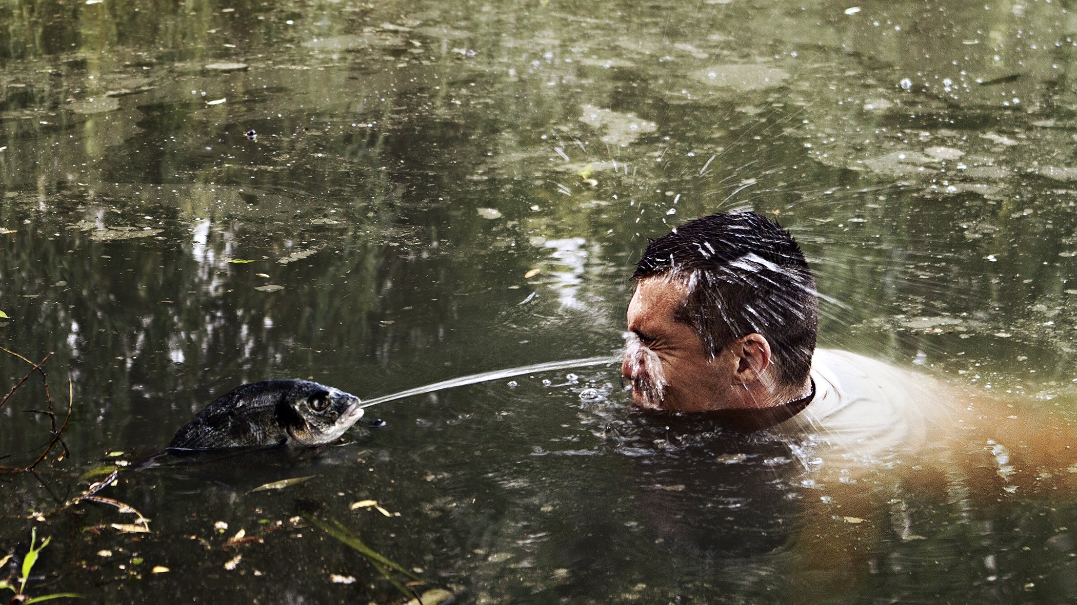 fisch wasser teich sushi rache fisch sushi männlich fisch rache sushi rache see