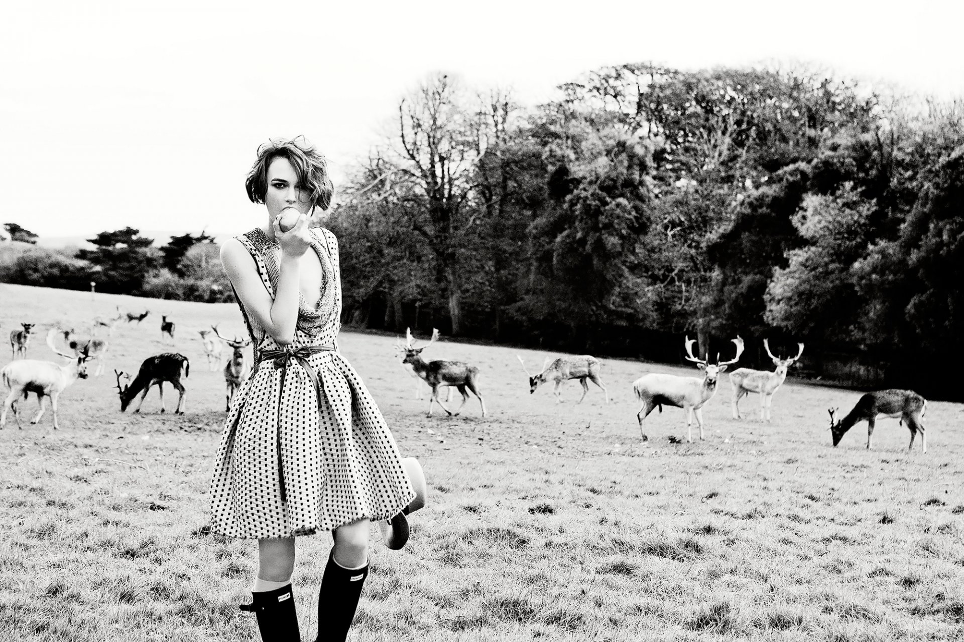 keira knightley cervi campo moda