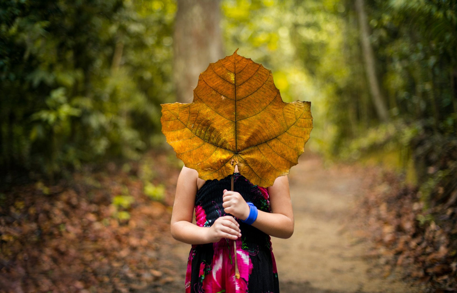 wald mädchen blatt