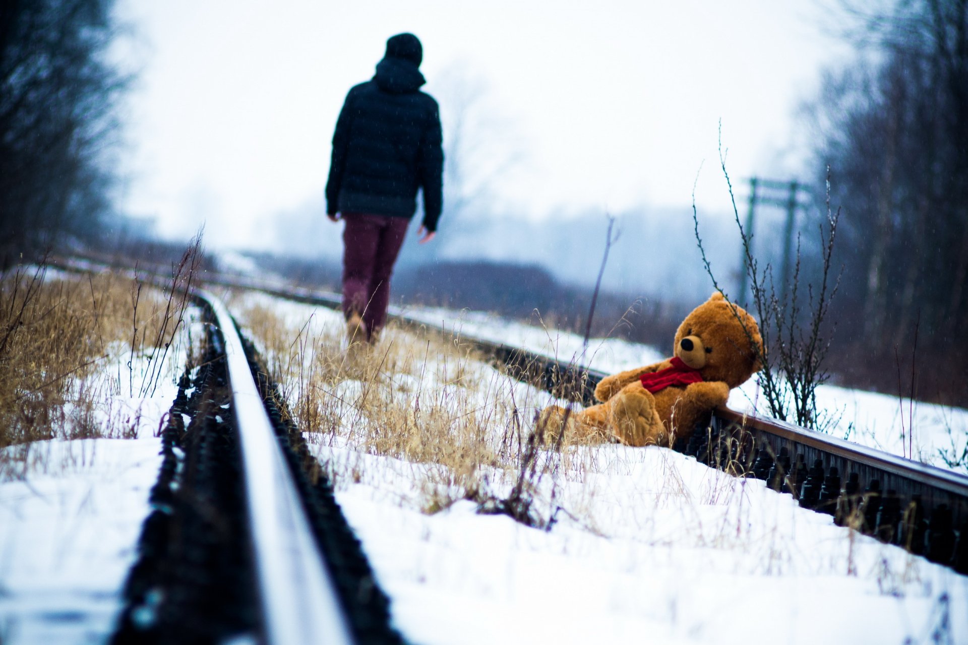 le chemin de fer les rails les ours en peluche