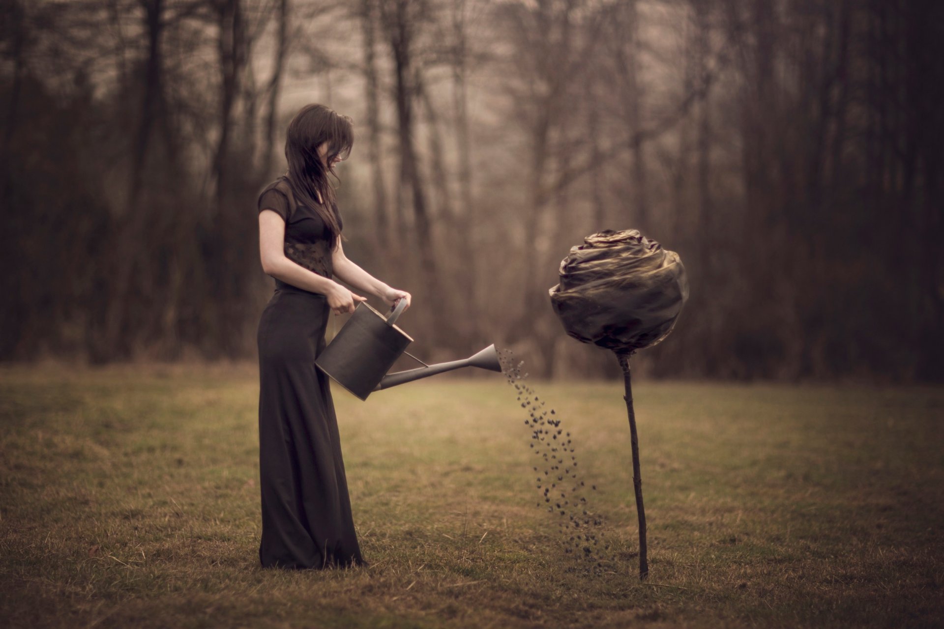 la jeune fille l arrosoir la fleur de l art