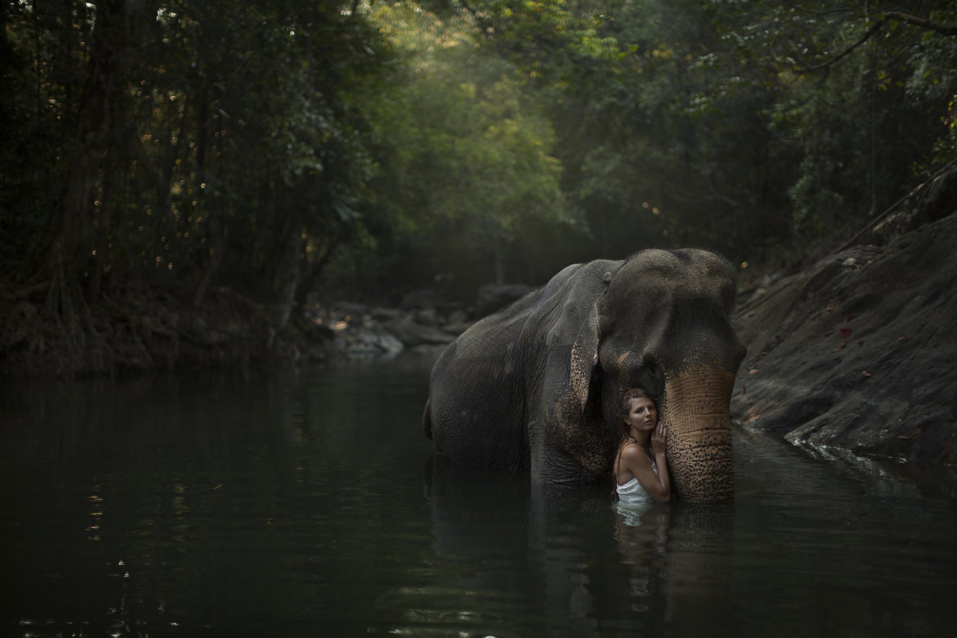 ragazza modello fiume foresta elefante